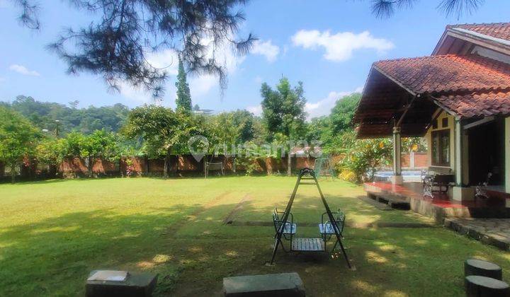 Villa Strategis di Megamendung Puncak Kabupaten Bogor 2