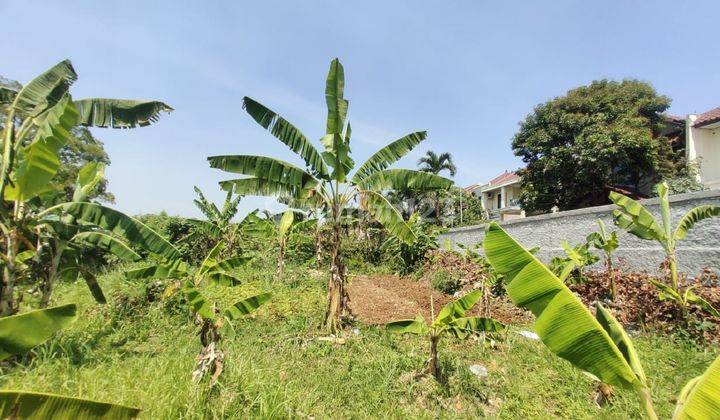 Kavling Strategis di Bantarjati Tegal Gundil Kota Bogor 2