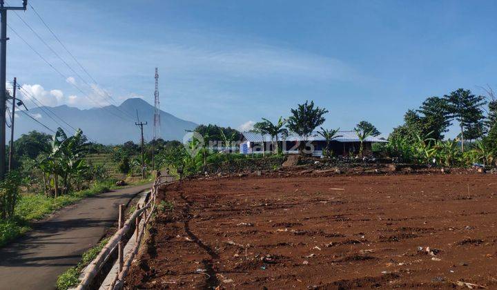 Tanah Murah di Ciomas Kabupaten Bogor View Gunung Salak 1