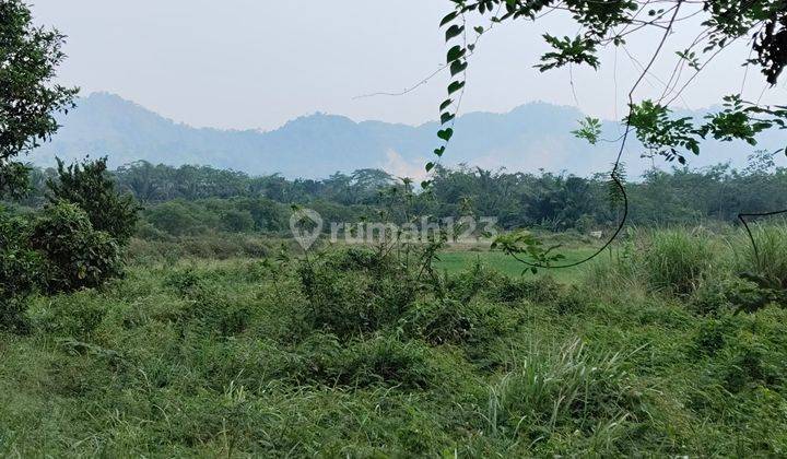 Tanah Strategis di Jalan Raya Parung Panjang Rumpin Bogor 2