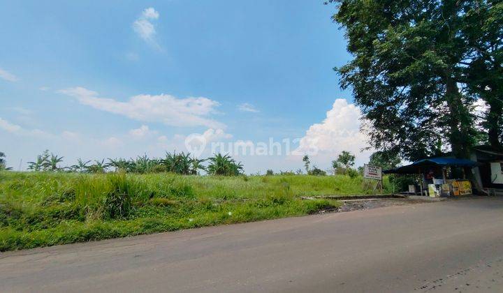 Tanah Komersial Murah di Cicurug Sukabumi  2