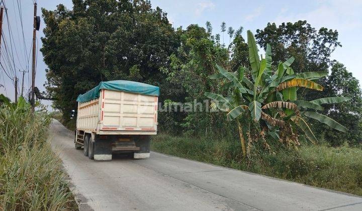 Tanah Strategis di Jalan Raya Parung Panjang Rumpin Bogor 1