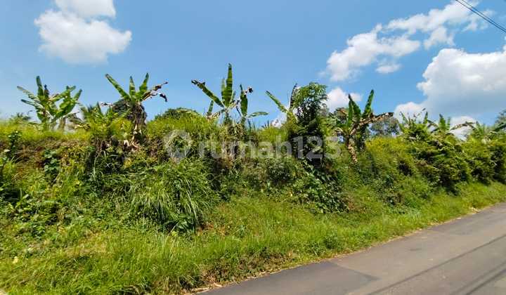 Tanah Murah Di Pinggi Jalan Raya Sadeng Bogor