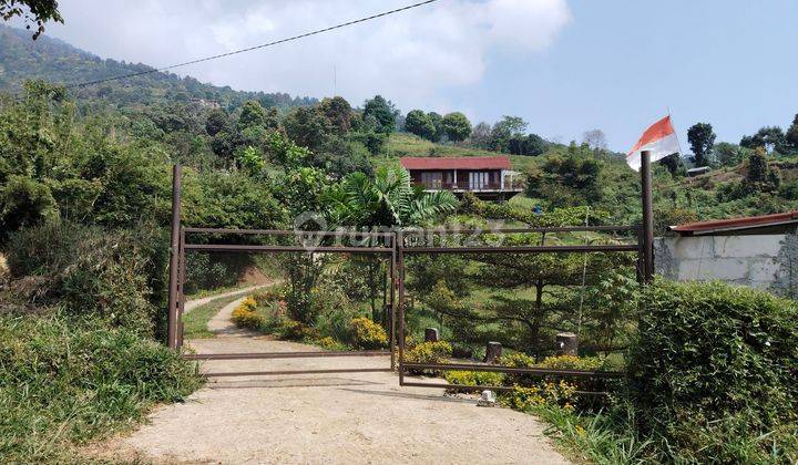 Villa Strategis di Desa Tajurhalang Cijeruk Bogor 1