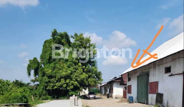 Gudang Raya Kenjeran Nol Jalan Akses Jalan Masuk Lebar