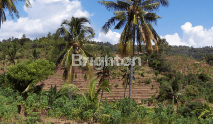 TANAH BULELENG BALI LOKASI PREMIUM, VIEW SEA AKSES JALAN UTAMA 2