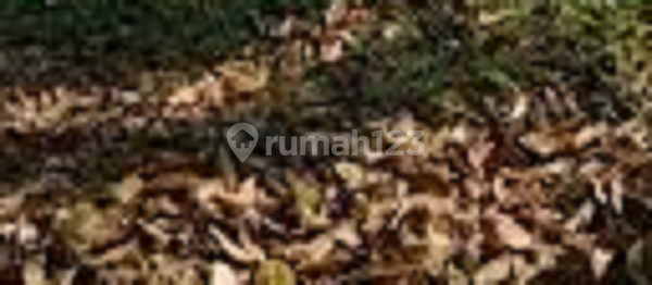 Kavling Tanah Nginden Dekat Untag Surabaya Timur Cck Utk Usaha