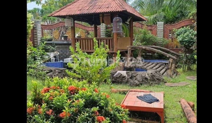 Dijual Rumah Mewah Jakarta Timur Dibawah NJOP 2