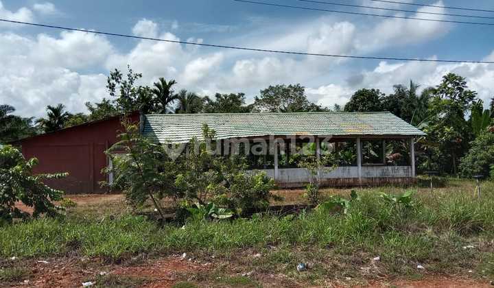 Tanah Luas Di Tepi Jalan Raya Trans Kalimantan Km 50 