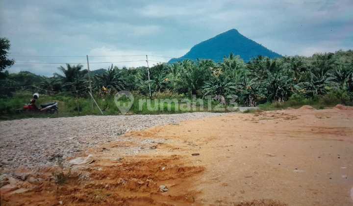 Large Land on the Main Road Axis of Entikong, Sanggau Regency, Malindo Cross-Border Road