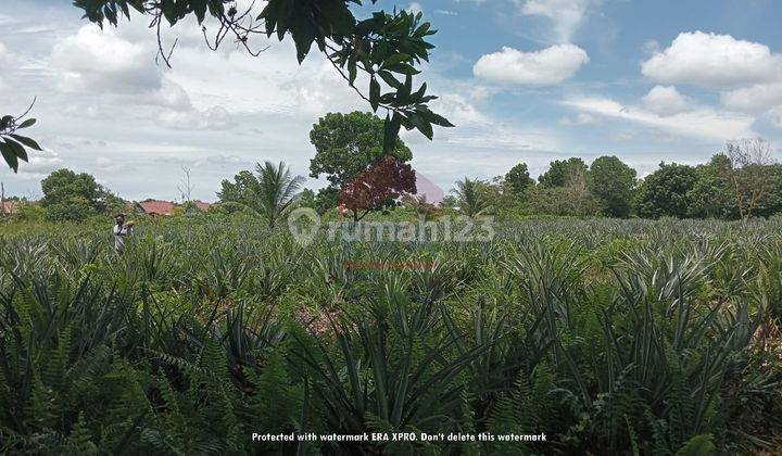 Tanah Cocok Untuk Investasi Rumah Subsidi di Parit Haji Muksin 2  4