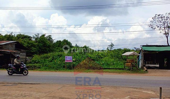 Tanah Strategis Tepi Jalan di Trans Kalimantan  3