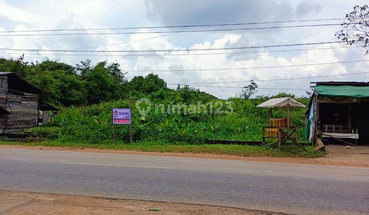 Tanah Strategis Tepi Jalan di Trans Kalimantan  4