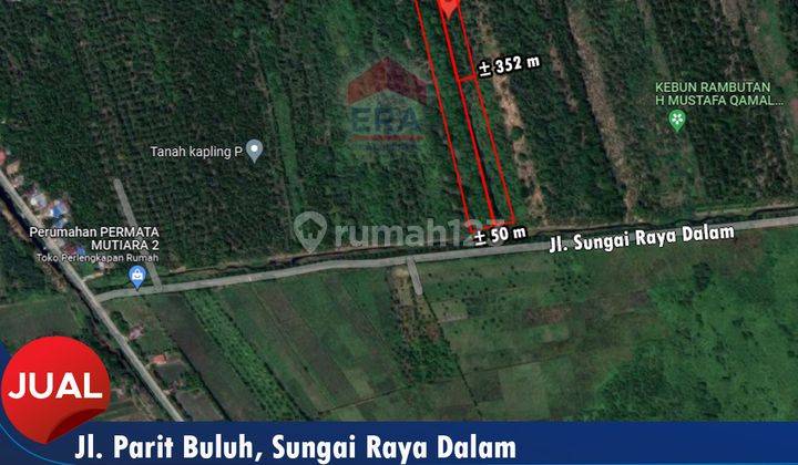Tanah Luas Cocok Untuk Investasi di Parit Buluh  2