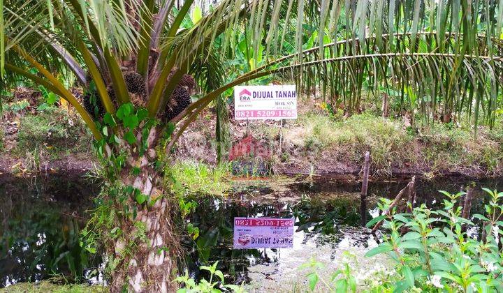 Tanah Luas Cocok Untuk Investasi di Parit Buluh  3