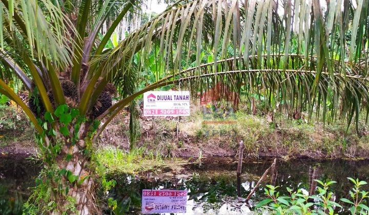 Tanah Luas Cocok Untuk Investasi di Parit Buluh  4