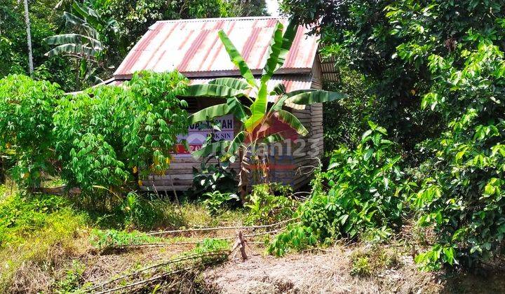 Tanah Luas Cocok Untuk Investasi di Parit Buluh  5