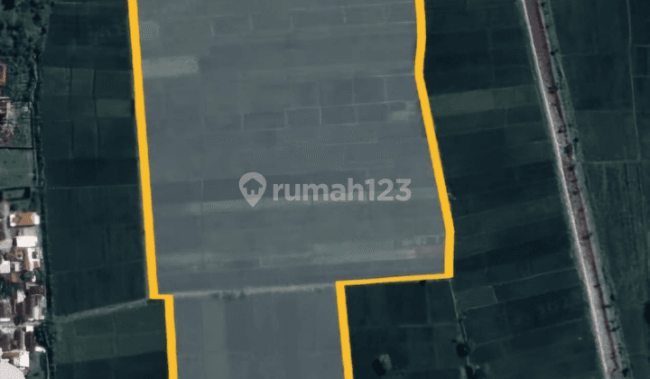 Lahan Industri Jombang, Lokasi Strategis Bisa Kontainer, Akses Jalan Aspal dan Lebar 2