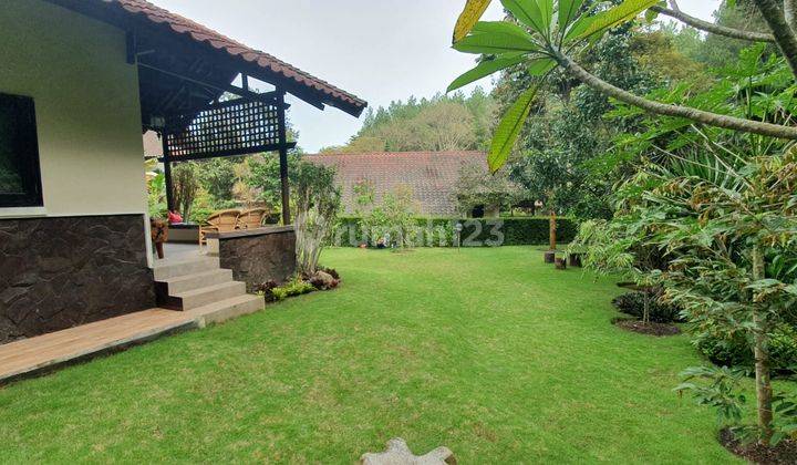 Villa Grand Trawas View Hutan Pinus Atap Kayu Sangat Terawat 2