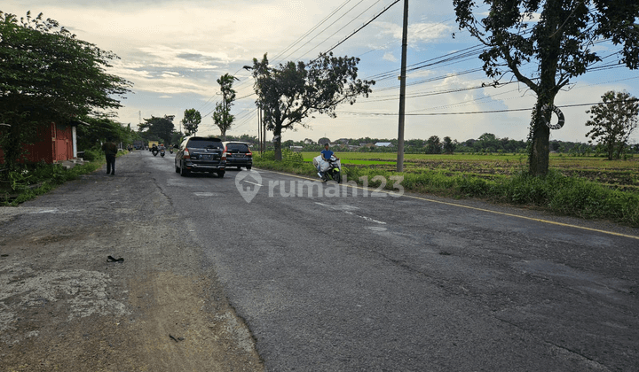 Lahan Industri Jombang, Lokasi Strategis Bisa Kontainer, Akses Jalan Aspal dan Lebar 1