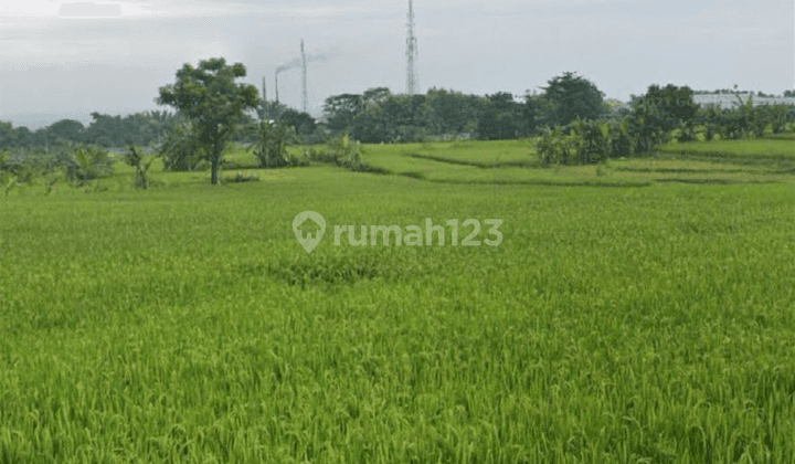 Dijual Tanah Industri Banyuurip Mojokerto, Lokasi Strategis  1