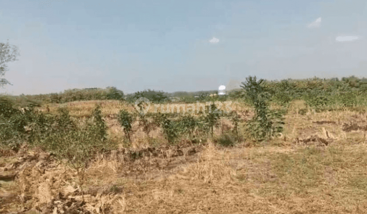 Lahan Industri Raya Babat Jombang Strategis Banyak Industri 2