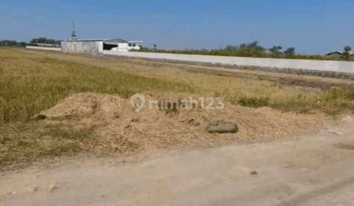 Lahan Industri Wringin Anom Gresik Zona Industri Lokasi Strategis 2