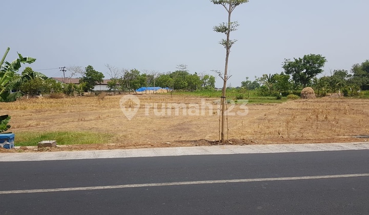 Tanah Tongas - Probolinggo Dijual Cepat, Kawasan Industri, Lokasi Strategis