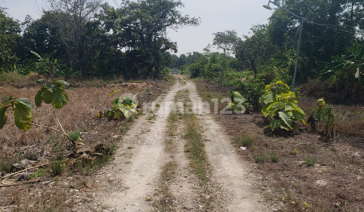 Vacant land beside the Manyar Gresik toll road, suitable for a toll road rest area.
