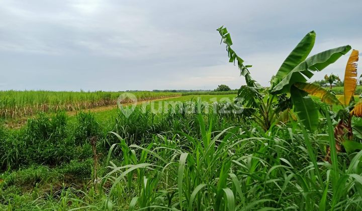 Dijual Lahan di Kemlagi Mojokerto Jawa Timur Cocok untuk Industri 2