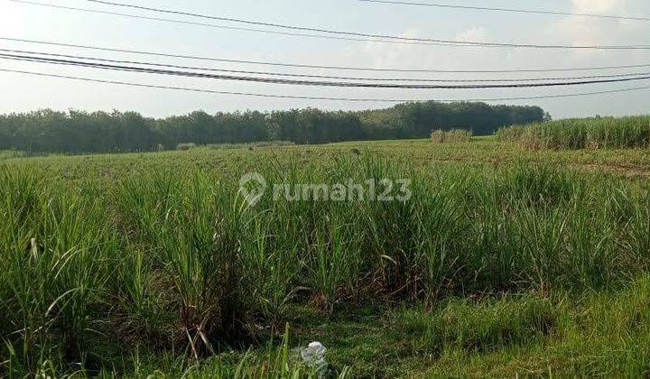 Lahan Industri Nol Jalan Provinsi Ngawi - Solo, Lokasi Strategis 2