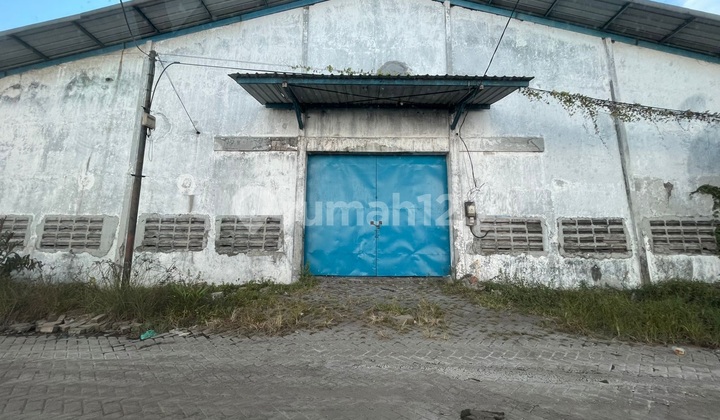 For Rent: Ready-to-Use Warehouse in Tambak Sawah, Sidoarjo