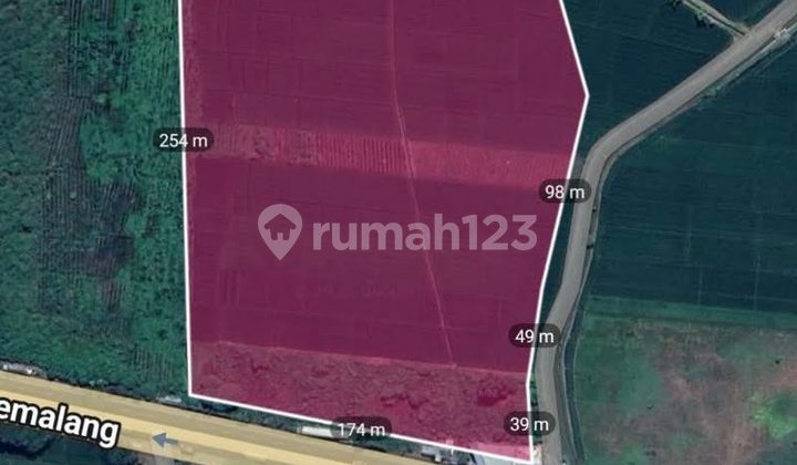 Lahan Kabunan Taman, Pemalang Jateng, Zona Industri, Strategis 1