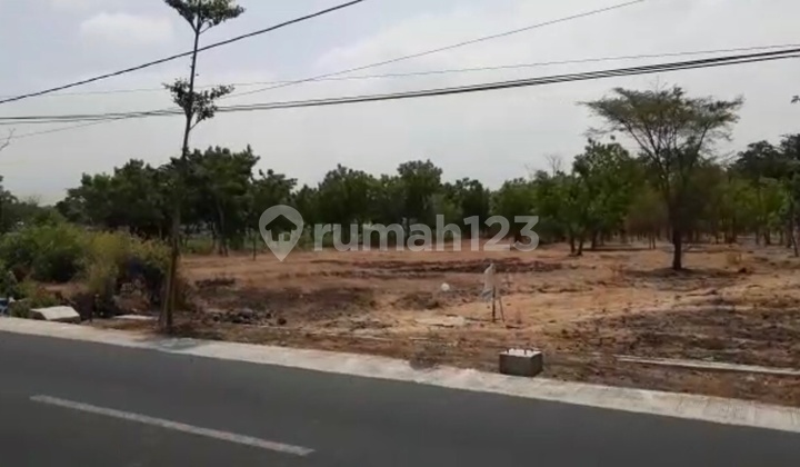 Tanah Tongas - Probolinggo Dijual Cepat, Kawasan Industri, Lokasi Strategis