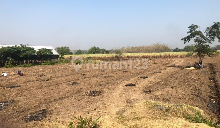 Kavling Industri Dawar Blandong Mojokerto, Jalan Sudah Aspal