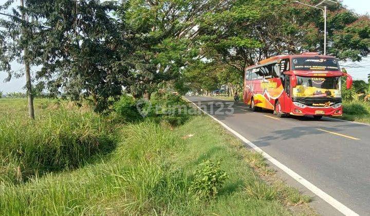 Lahan Industri Nol Jalan Provinsi Ngawi - Solo, Lokasi Strategis 1