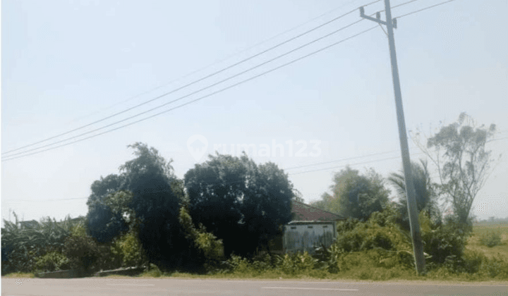 Lahan Industri Jombang, Strategis Jalan Propinsi Braan 1