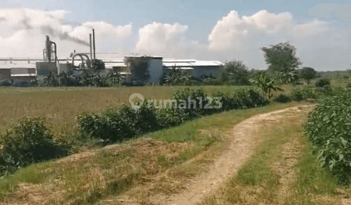 Lahan Industri Raya Babat Jombang Strategis Banyak Industri 1