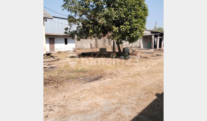 This Paving Factory Sells at Crushed Prices with Bonus Machine and Training in Mojosari.