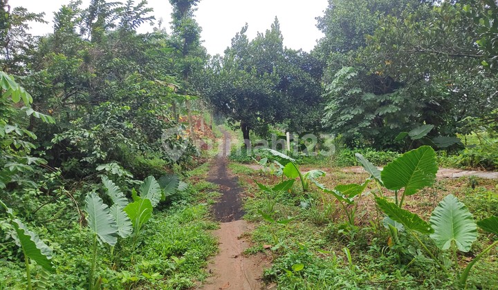 Dijual Tanah Cinangka Jalan Bola Dekat Mall The Park Sawangan SHM Aman 2