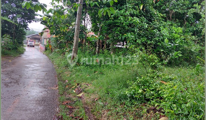 Property Dijual Mekarsari Cileungsi 10 Menit Ramayana Cileungsi SHM 4