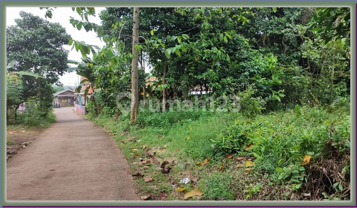 Dijual Tanah Jl Raya Mampir Cileungsi 15 Menit Metland Mall SHM Aman 3