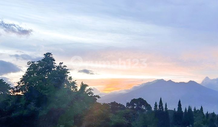 895 Juta! Rumah Luas 220M di Ciawi + View Pegunungan Sunset SHM