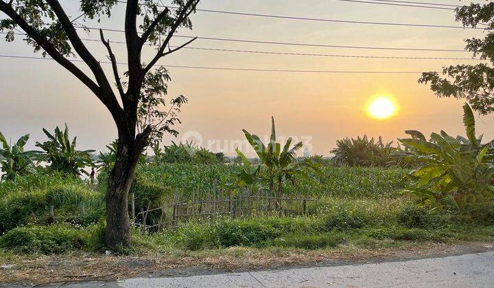 Tanah industri murah dan strategis akses container 2