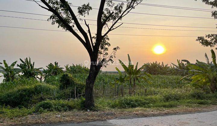 Tanah industri murah dan strategis akses container 1