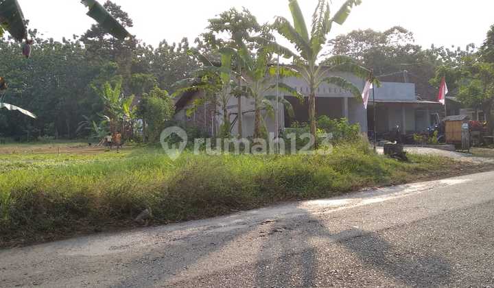 Tanah strategis siap bangun di jl raya Muntal boja kaliwungu 2
