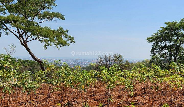 Tanah SHM 13945 m² di Jangli gabeng raya best view 1