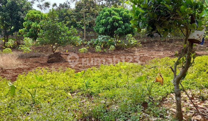 Tanah Siap Bangun Shm 1480 M² Di Gondoriyo Ngaliyan Semarang Barat 2