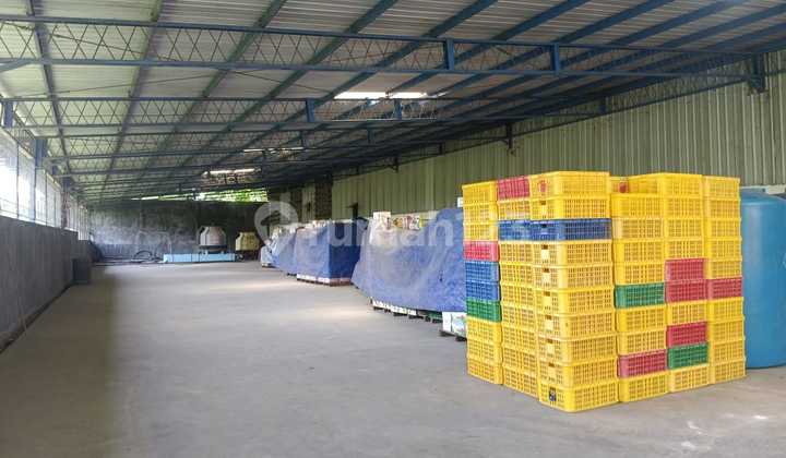 Ready-to-Use Factory SHM 11225m² in Boja Industrial Zone