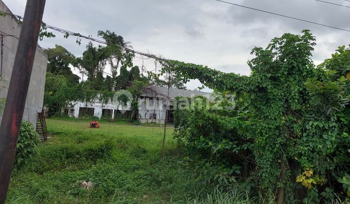 Warehouse in Bergas 1